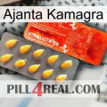 Ajanta Kamagra new01